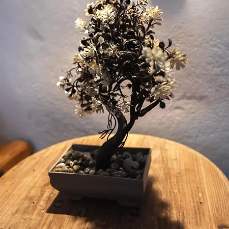 El Passo Cycladic Alley Studio - Paros by ΜΡS